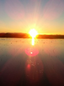 sunrise_bosquedelapache3