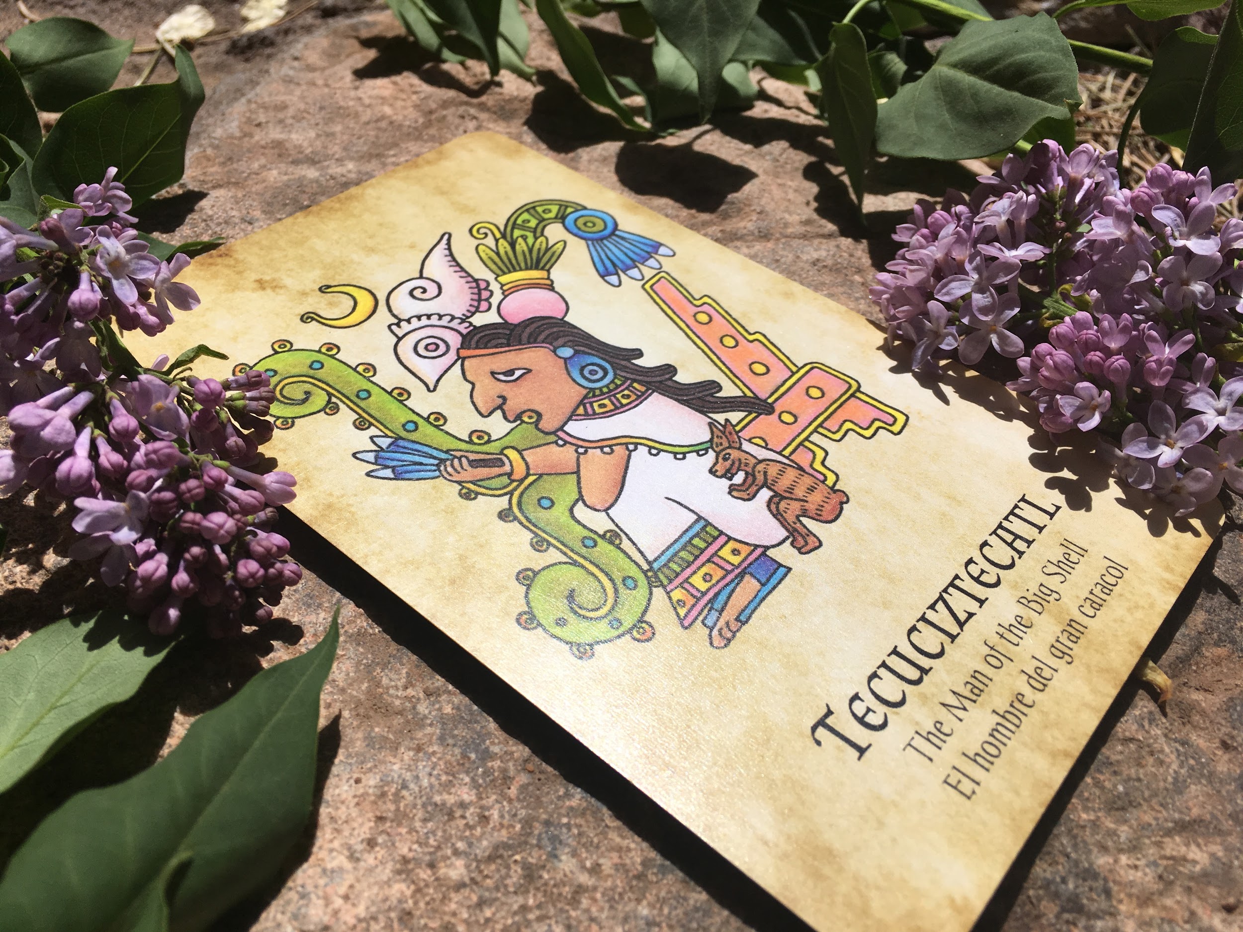 Full Spectrum Healing Illustrating The Jade Oracle Deck Using